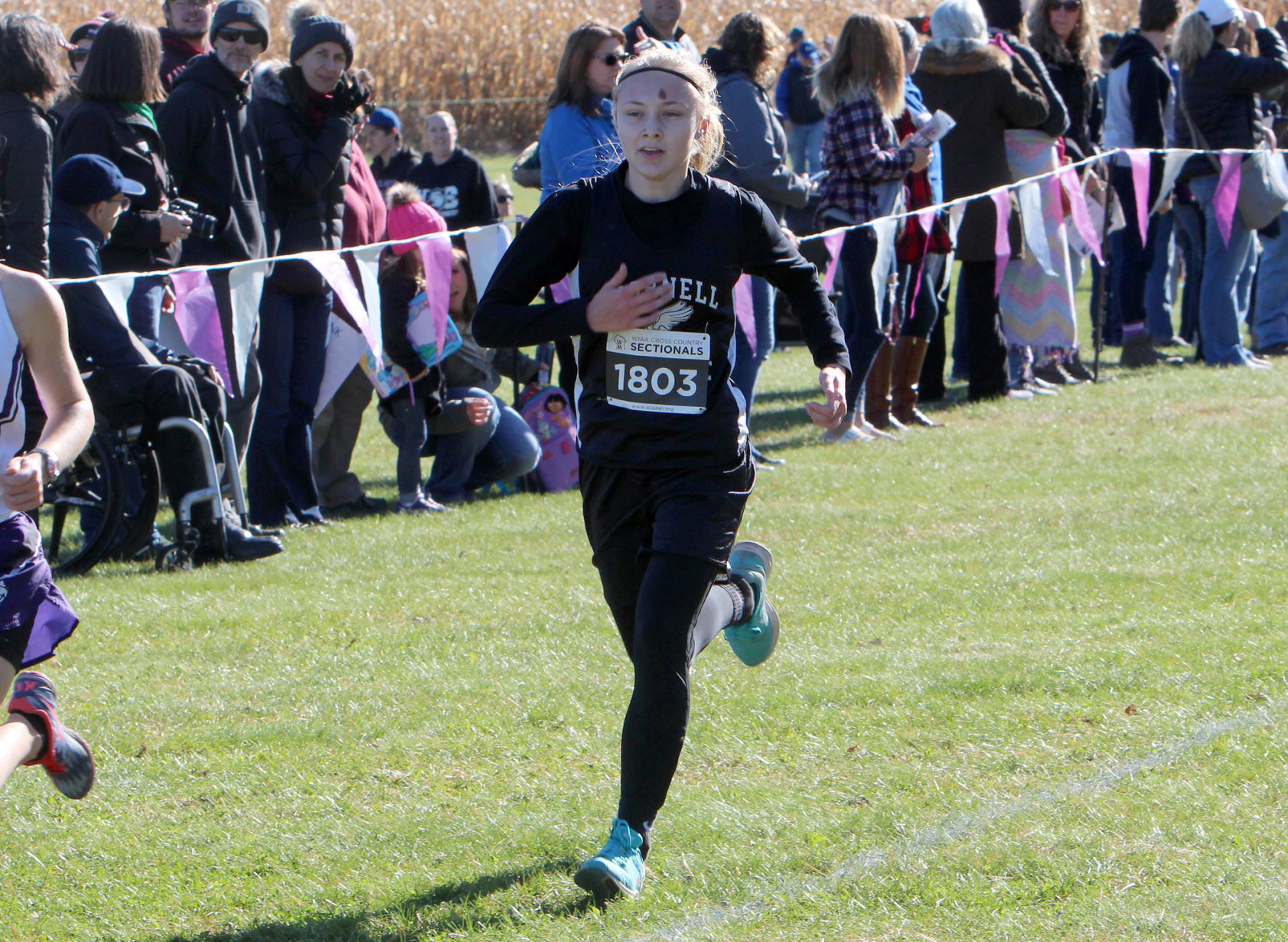Division 3 Cross Country Sectionals in Boyceville 10-26-19